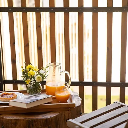 Quinta Da Queiro Country house *