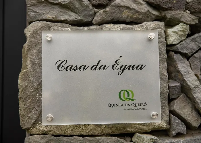 Quinta Da Queiro 乡村民宿 *